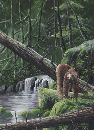 Framed Deep Woods Fisherman Print