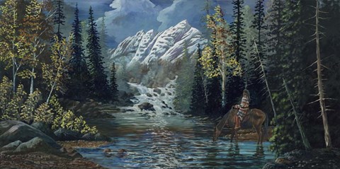 Framed Hidden Falls Print