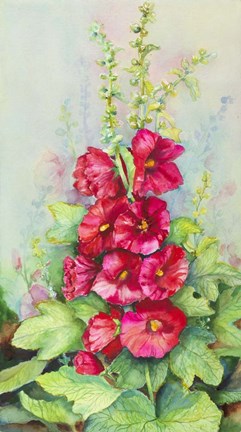 Framed Early Morning Hollyhock Print