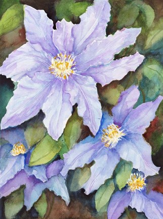 Framed Lavender Cosmos Print