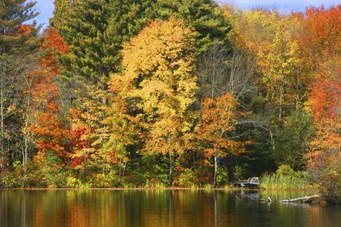 Framed Fall 20 Print