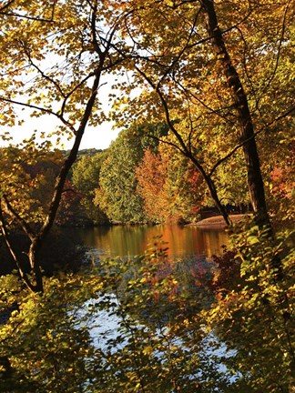 Framed Fall 21 Print