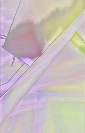 Framed Dashing Print