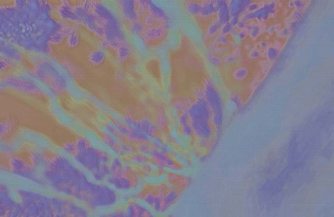 Framed Evening Soak Print