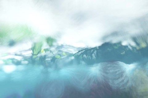 Framed Pony in the Lake Print