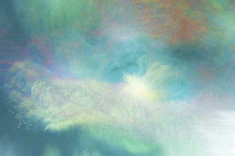 Framed Daisy Chain Print