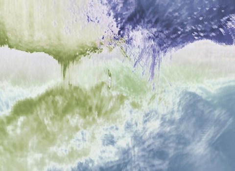 Framed Pine Cone Print