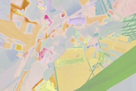 Framed Acacia 2 Print