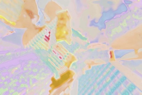 Framed Acacia 3 Print