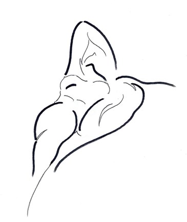 Framed Reclining Nude Print