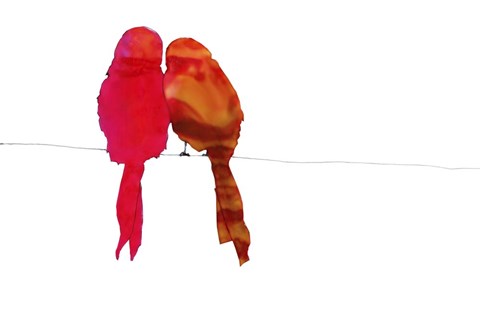 Framed Birds Print
