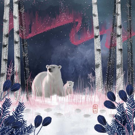 Framed Northern Lights Print