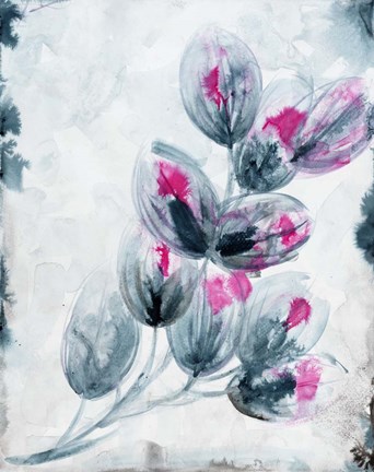 Framed Fuschia Splash1 Print