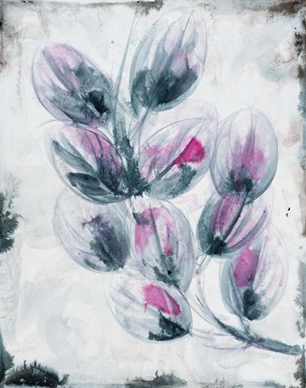 Framed Fuschia Splash 2 Print