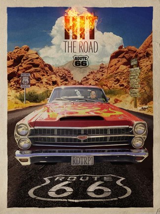 Framed Desert Run Print