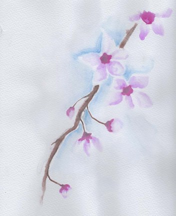Framed Cherry Blossoms Print