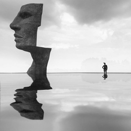 Framed Reflection 1 Print