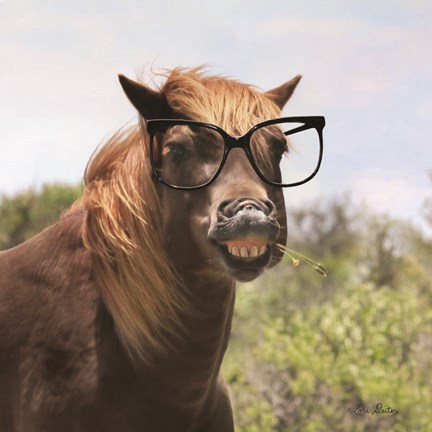 Framed Say Cheese Horse Print