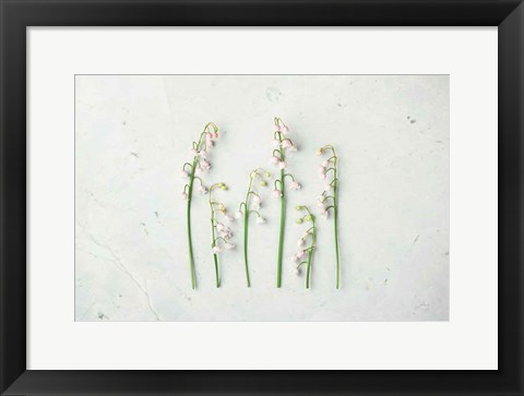 Framed May Bell Blooms Print