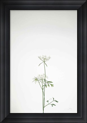 Framed Simple Stems VI Print