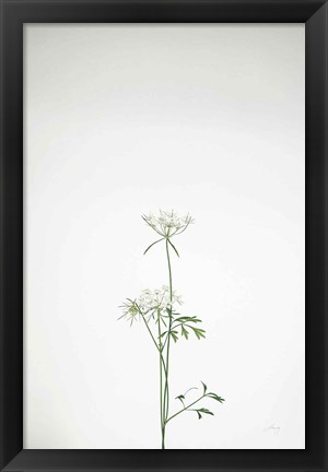 Framed Simple Stems VI Print