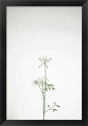 Framed Simple Stems VI Print