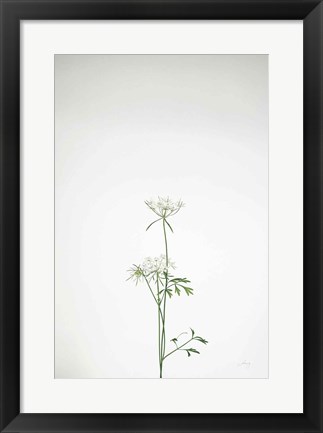 Framed Simple Stems VI Print