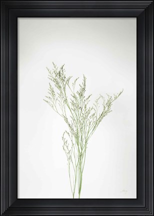 Framed Simple Stems VII Print