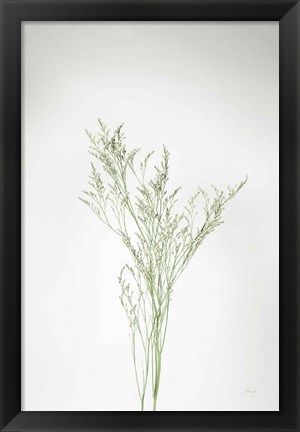 Framed Simple Stems VII Print