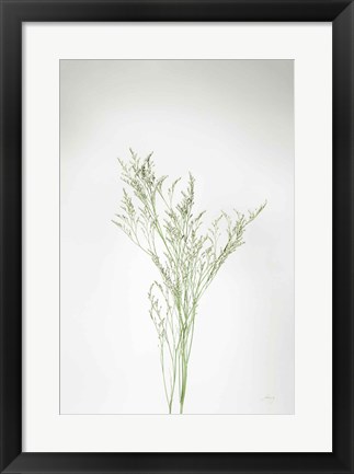 Framed Simple Stems VII Print