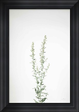 Framed Simple Stems IV Print