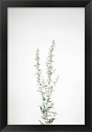 Framed Simple Stems IV Print