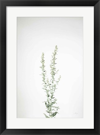 Framed Simple Stems IV Print