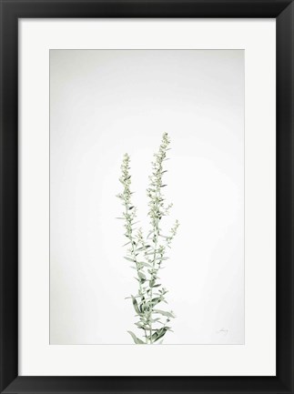 Framed Simple Stems IV Print