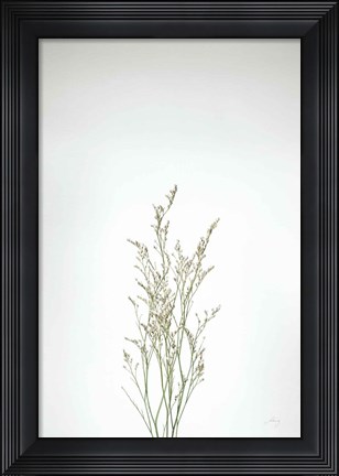 Framed Simple Stems V Print