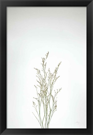 Framed Simple Stems V Print