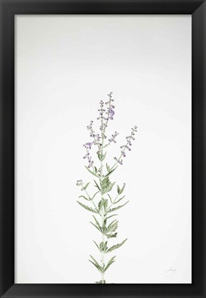 Framed Simple Stems III Print