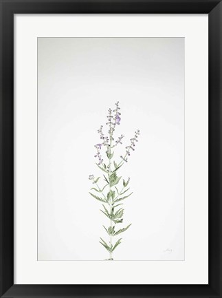 Framed Simple Stems III Print