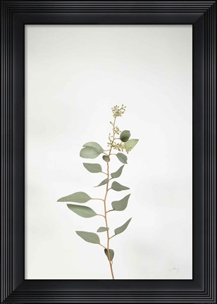 Framed Simple Stems II Print
