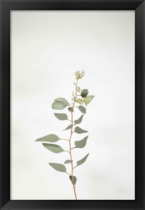 Framed Simple Stems II Print