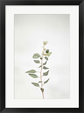 Framed Simple Stems II Print