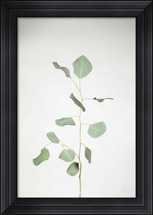 Framed Simple Stems I Print