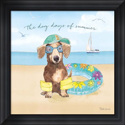Framed Summer Paws III Print