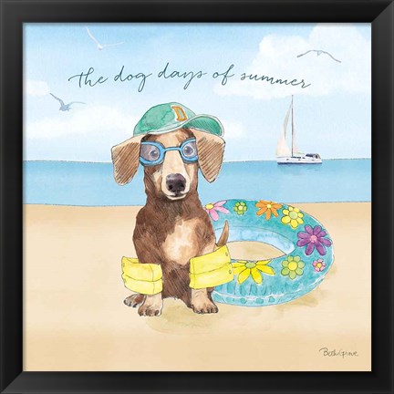 Framed Summer Paws III Print