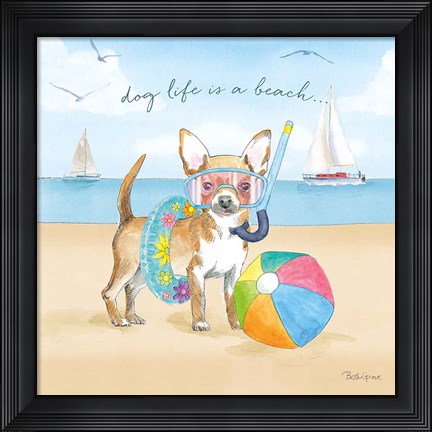 Framed Summer Paws II Print