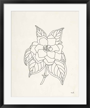 Framed Gardenia Line Drawing Print