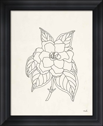 Framed Gardenia Line Drawing Print