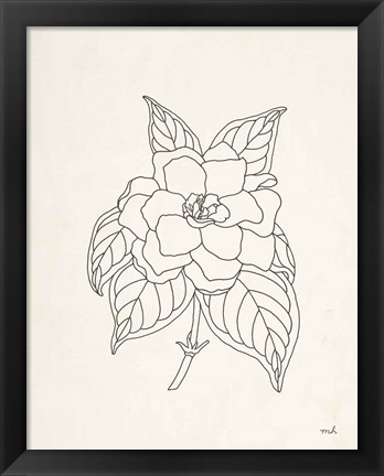 Framed Gardenia Line Drawing Print