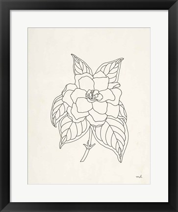 Framed Gardenia Line Drawing Print