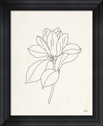 Framed Magnolia Line Drawing Print
